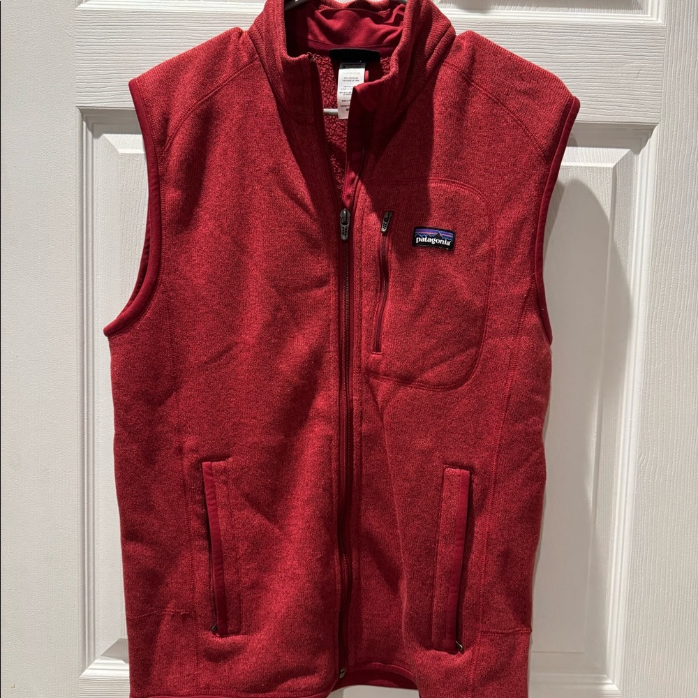 Men’s Patagonia M Vest